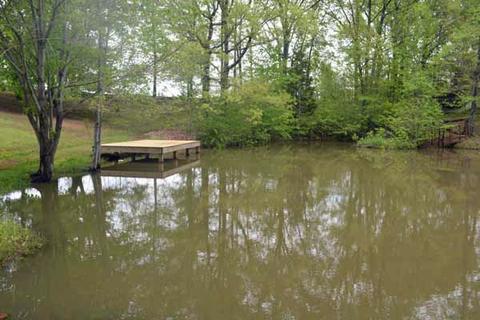 2581 County Road 358, Trinity, AL 35673 photo 20