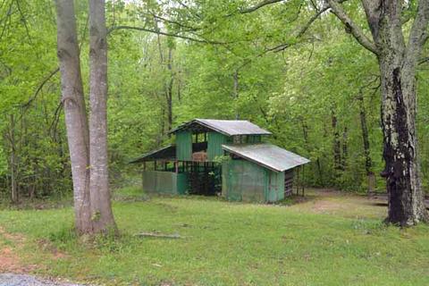 2581 County Road 358, Trinity, AL 35673 photo 23