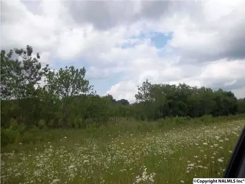 County Road 229, Moulton, AL 35650
