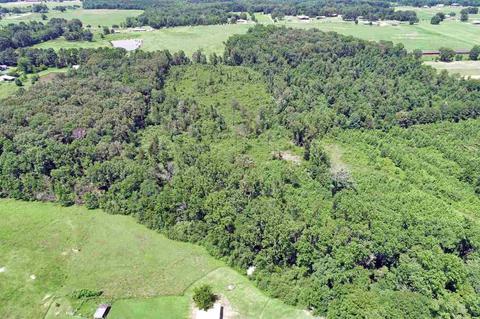 353 County Road 88, Trinity, AL 35673 photo 23