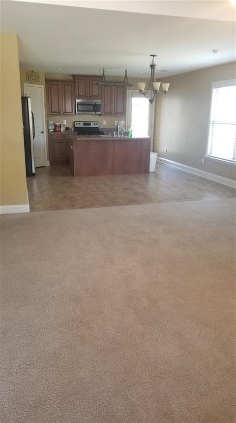 231 Fields Pond Dr, Madison, AL 35756 photo 1