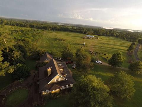 1032 County Road 474, Section, AL 35771 photo 22
