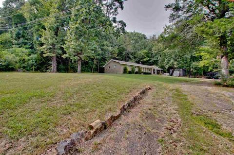 1135 Old Highway 24, Trinity, AL 35673 photo 48