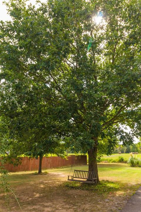 120 County Road 301, Trinity, AL 35673 photo 7