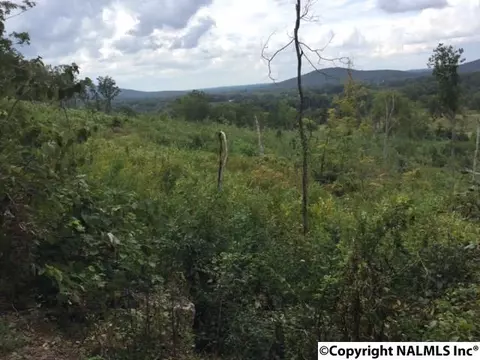 00 Peck Hollow Rd, Somerville, AL 35670