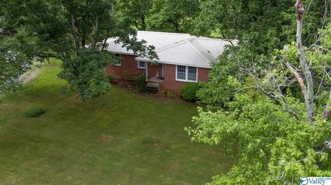1700 Simpson Point Rd, Grant, AL 35747 photo 5