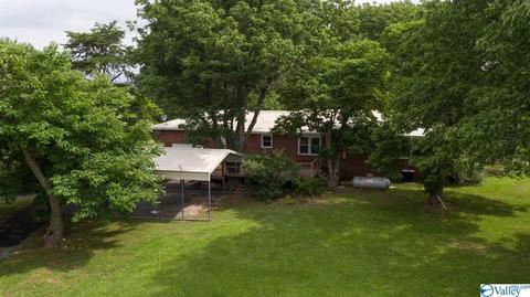 1700 Simpson Point Rd, Grant, AL 35747 photo 50
