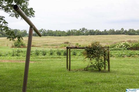 1700 Simpson Point Rd, Grant, AL 35747 photo 48