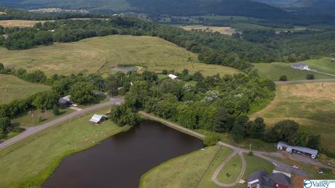 1700 Simpson Point Rd, Grant, AL 35747 photo 3