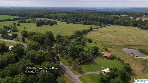 1700 Simpson Point Rd, Grant, AL 35747 photo 4