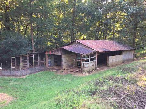 74 County Road 419, Killen, AL 35645 photo 11
