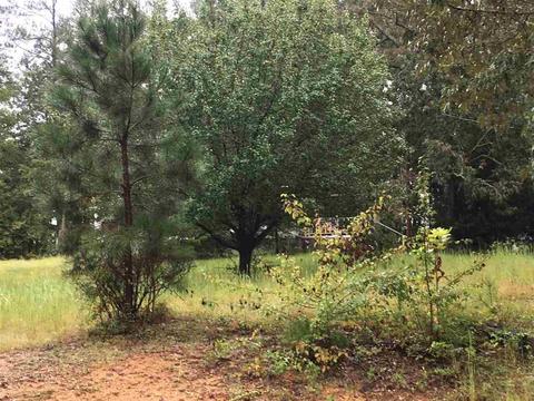 75 County Road 40, Centre, AL 35960 photo 2