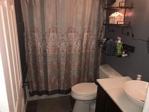 290 County Road 371, Trinity, AL 35673 photo 6