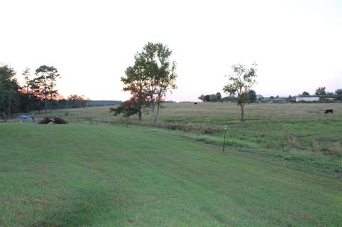 2803 County Road 120, Section, AL 35771 photo 25