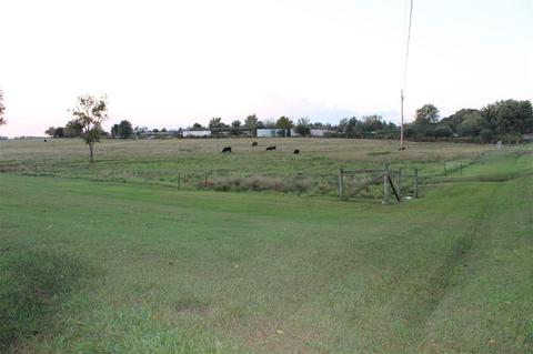 2803 County Road 120, Section, AL 35771 photo 26