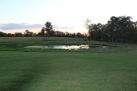 2803 County Road 120, Section, AL 35771 photo 27