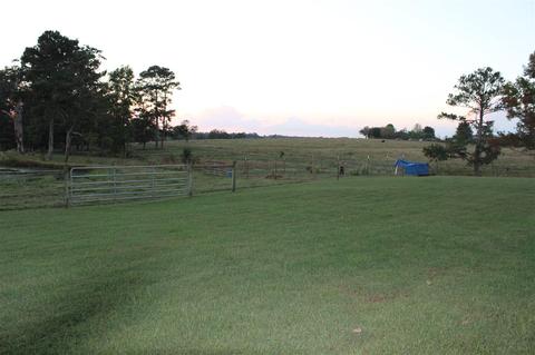 2803 County Road 120, Section, AL 35771 photo 24