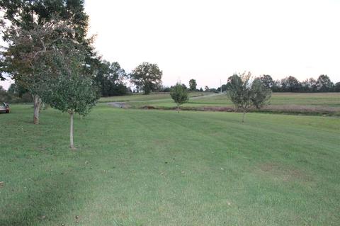 2803 County Road 120, Section, AL 35771 photo 23