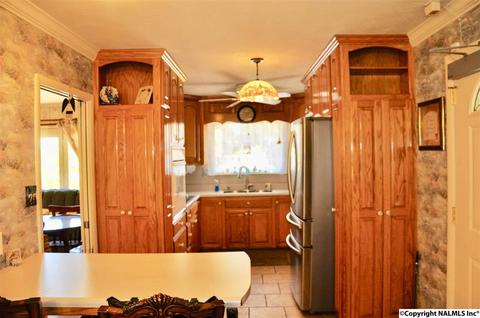 2168 County Road 43, Section, AL 35771 photo 8