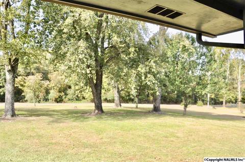 2168 County Road 43, Section, AL 35771 photo 22