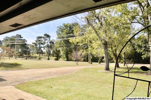 2168 County Road 43, Section, AL 35771 photo 21