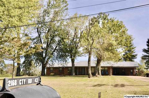2168 County Road 43, Section, AL 35771 photo 35