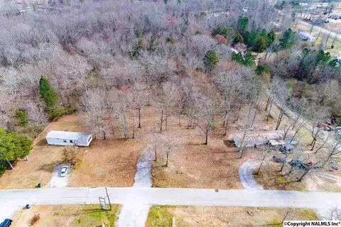 299 County Road 299, Trinity, AL 35673 photo 3