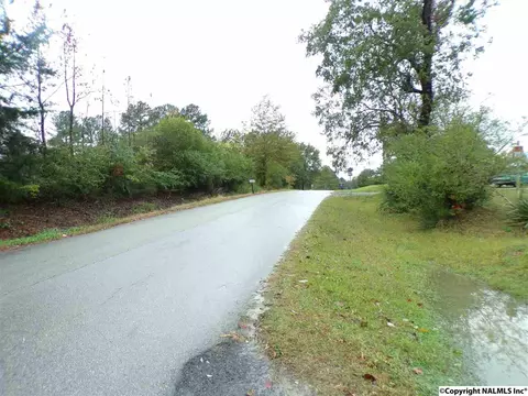 299 County Road 299, Trinity, AL 35673 photo 11