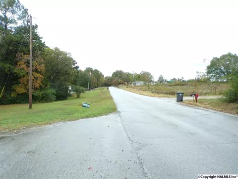 299 County Road 299, Trinity, AL 35673 photo 12
