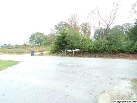 299 County Road 299, Trinity, AL 35673 photo 10