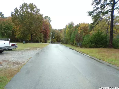 299 County Road 299, Trinity, AL 35673 photo 7