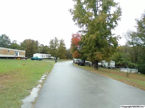299 County Road 299, Trinity, AL 35673 photo 9