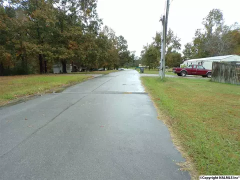 299 County Road 299, Trinity, AL 35673 photo 8