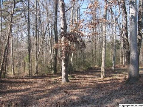 100 Pinecrest Dr, Trinity, AL 35673 photo 35