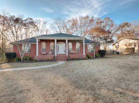 100 Pinecrest Dr, Trinity, AL 35673 photo 1
