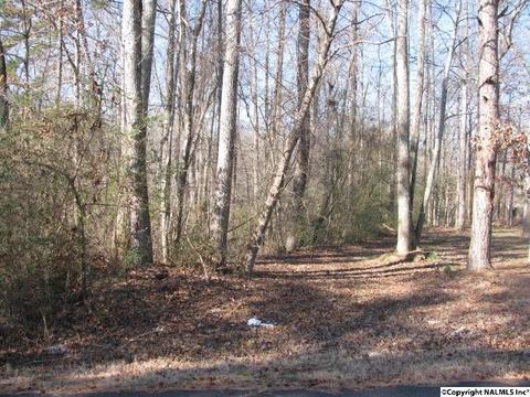 100 Pinecrest Dr, Trinity, AL 35673 photo 36