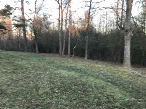 60 Gaines Loop E, Boaz, AL 35956 photo 40