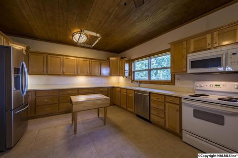 110 Overlook Dr, Section, AL 35771 photo 13