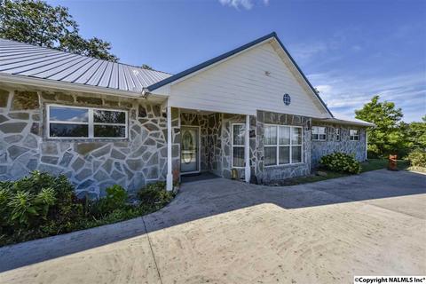 110 Overlook Dr, Section, AL 35771 photo 30