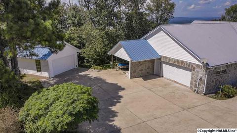 110 Overlook Dr, Section, AL 35771 photo 41