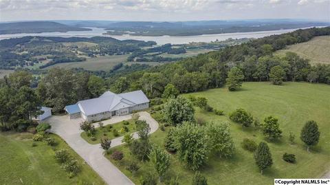 110 Overlook Dr, Section, AL 35771 photo 33