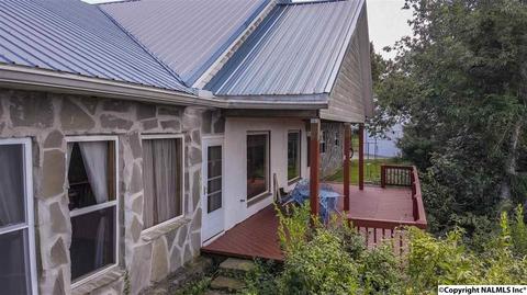 110 Overlook Dr, Section, AL 35771 photo 49