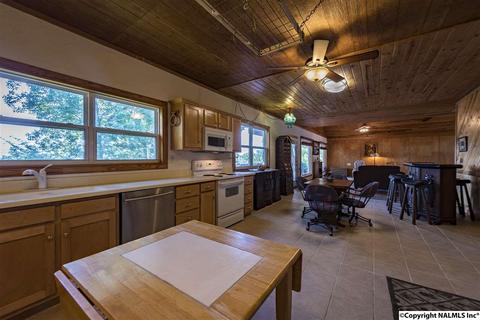 110 Overlook Dr, Section, AL 35771 photo 14