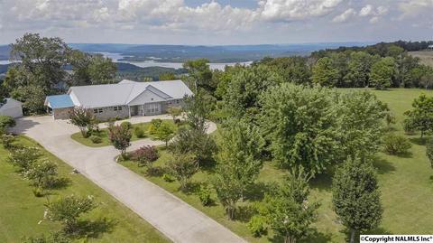 110 Overlook Dr, Section, AL 35771 photo 34