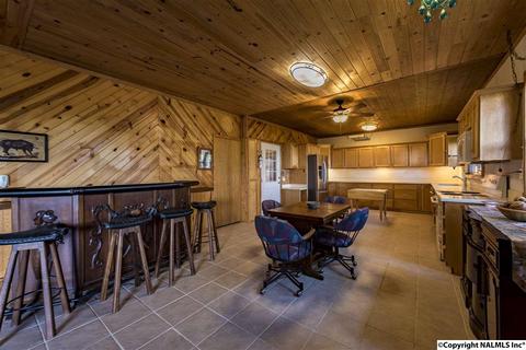 110 Overlook Dr, Section, AL 35771 photo 12