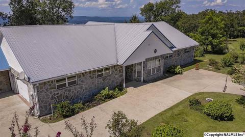 110 Overlook Dr, Section, AL 35771 photo 40