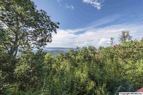 110 Overlook Dr, Section, AL 35771 photo 27