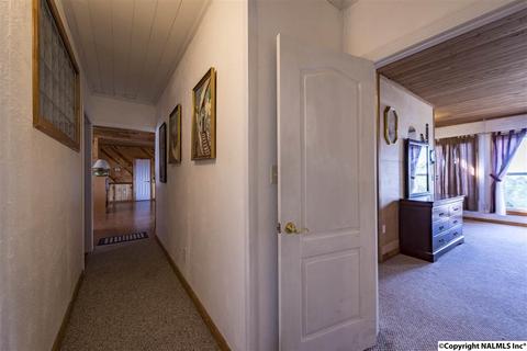 110 Overlook Dr, Section, AL 35771 photo 23