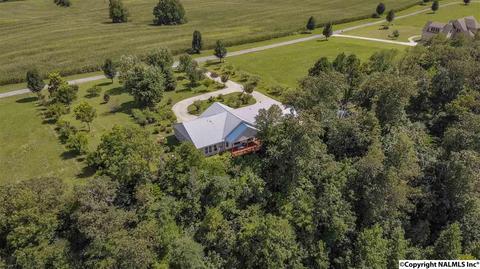 110 Overlook Dr, Section, AL 35771 photo 45