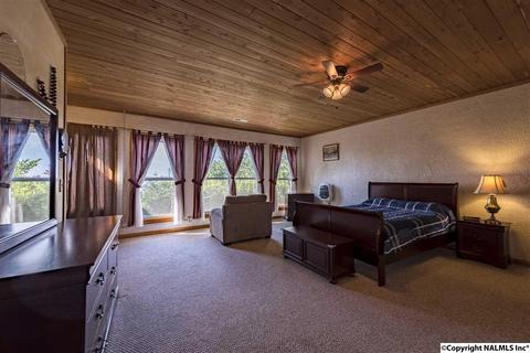 110 Overlook Dr, Section, AL 35771 photo 16